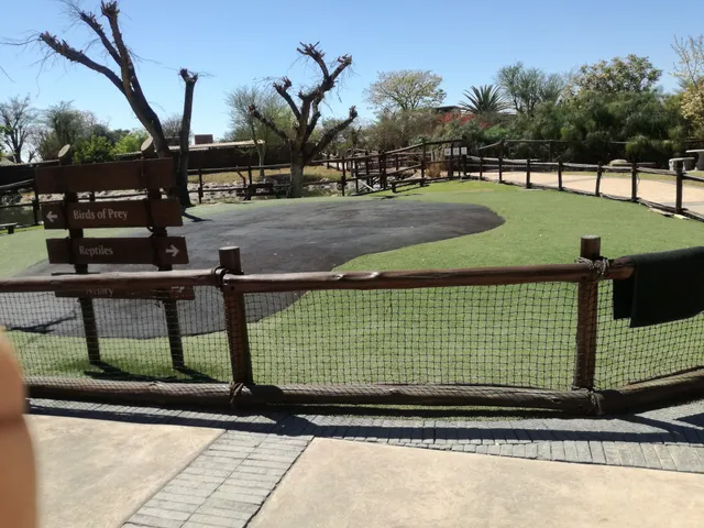 Wildthingz - Meropa casino