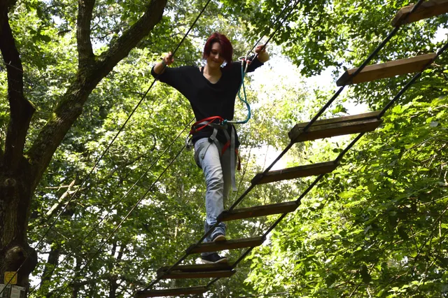 Accrobranche - Seine Port - Sainte Assise Aventure