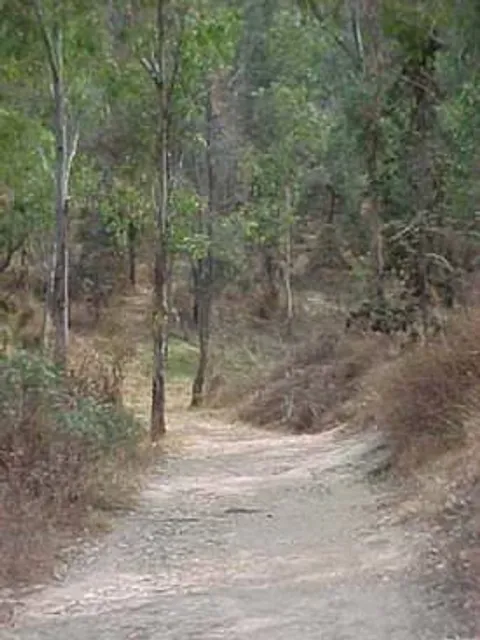 Cerro de la Estrella