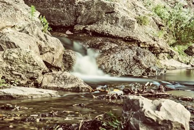 St. Peter's Dome National Natural Area