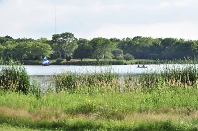 Busse Woods