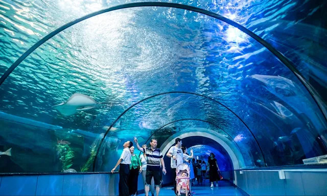Haichang Polar Ocean World