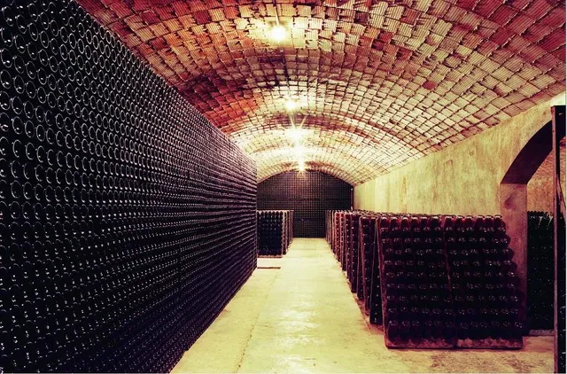 Bodegas Capita Vidal