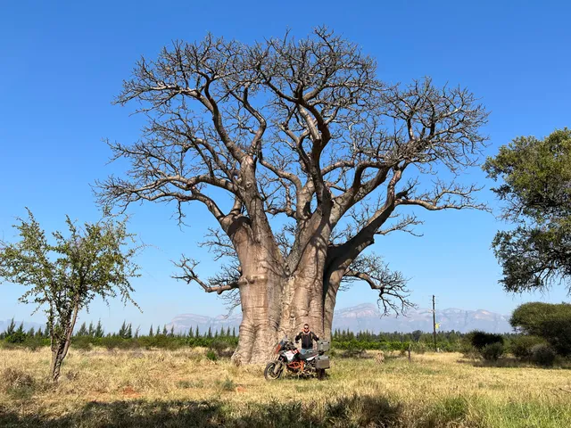 Ndlovumzi Nature Reserve