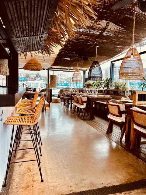 Barracuda Las Palmas