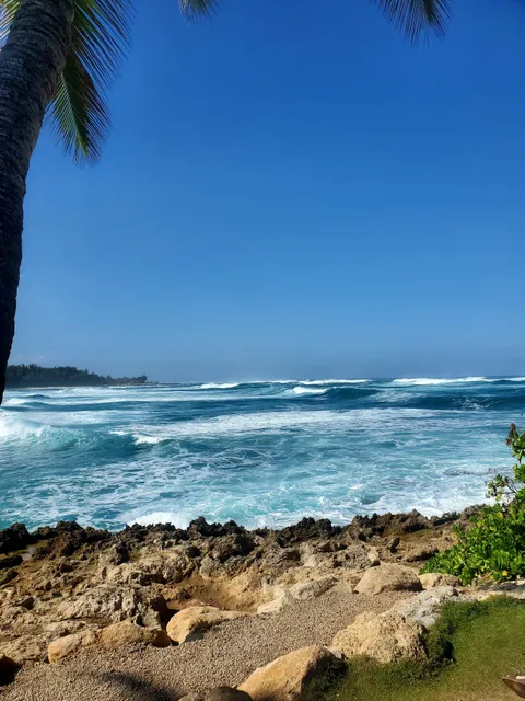 Turtle Bay Resort Turtle Kayaking Cove