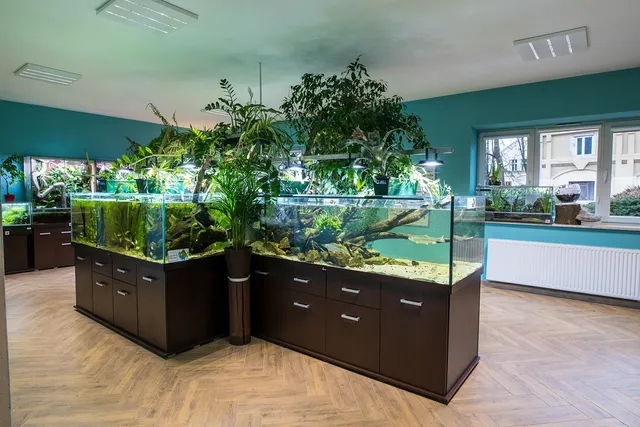 Regionalne Centrum Promocji Obszaru Natura 2000 Tarnobrzeska Dolina Wisły