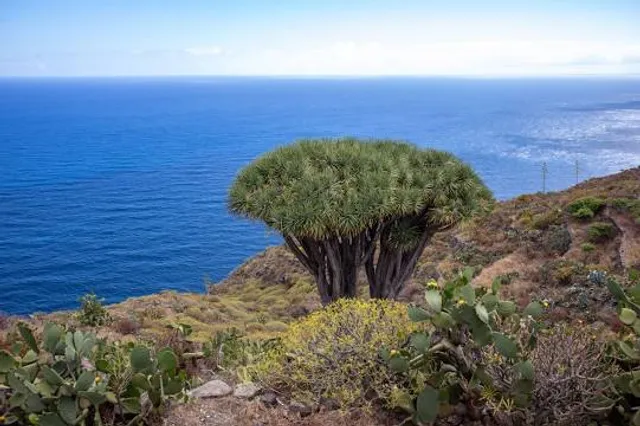 Laguna Barlovento Park