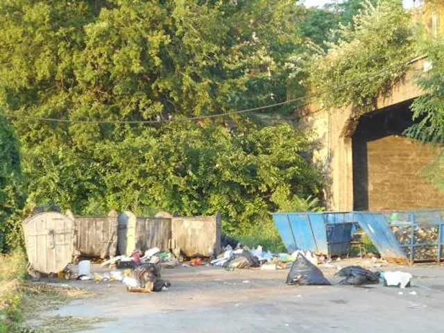 Lake Park NTPC Vindhyanagar