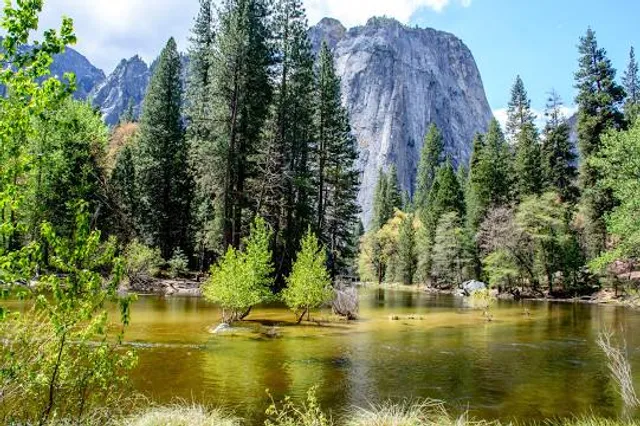 Yosemite Mountain Sugar Pine Railroad