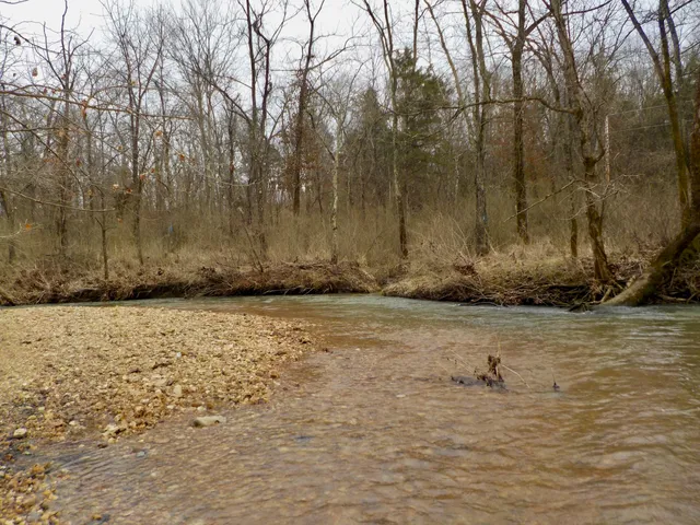 Blue Springs Creek Conservation Area