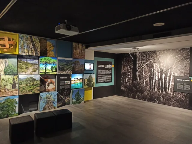 Ecomuseum of the Mediterranean forest