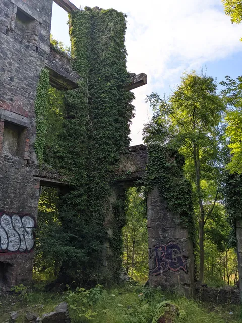photo-1