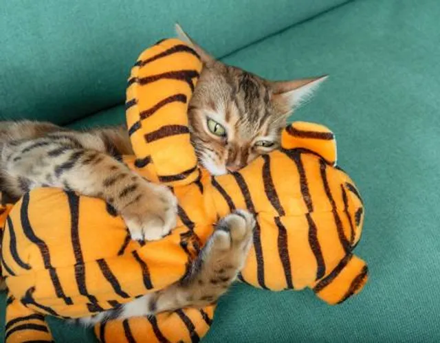 Multan Saddar Tehsil