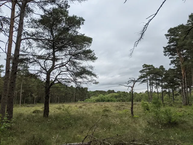 Cliburn Moss Nature Reserve