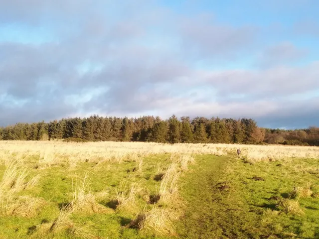 photo-2