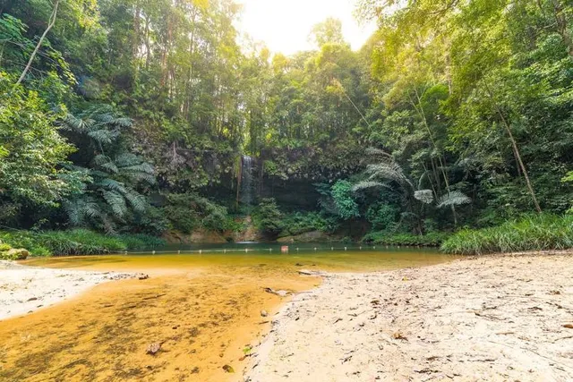 Taman Negara Bukit Lambir
