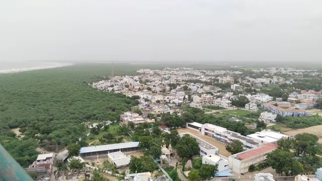 Mandvi Beach, Mandvi