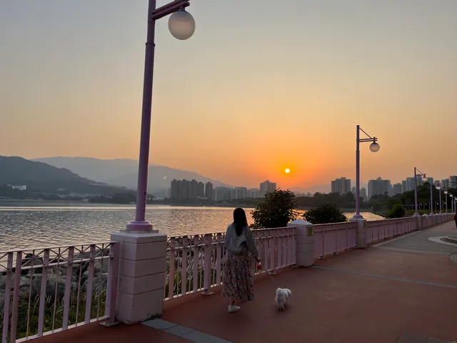 Tai Po Waterfront Park Viewing Point