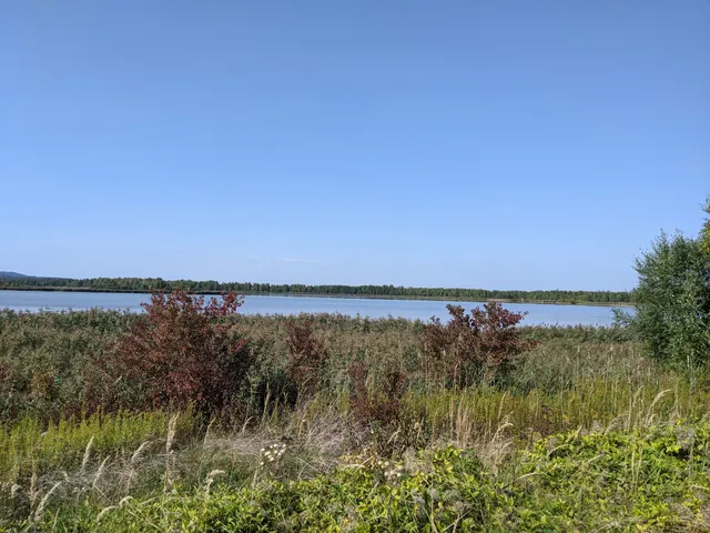 Heerter See und Waldgebiet Heerter Strauchholz