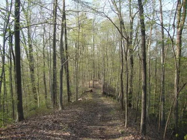 Trail of Tears State Forest