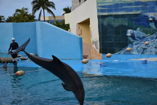 National Aquarium of Cuba