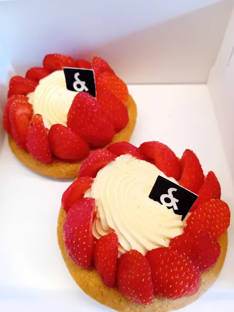 Auguste & Ferdinand // Roubaix