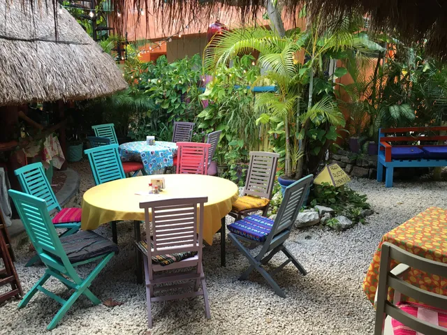 Turtle Bay Bakery and Cafe