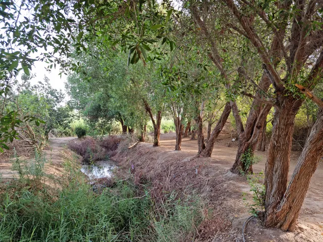 place image