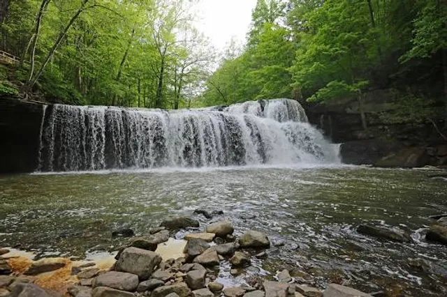 Brush Creek Preserve
