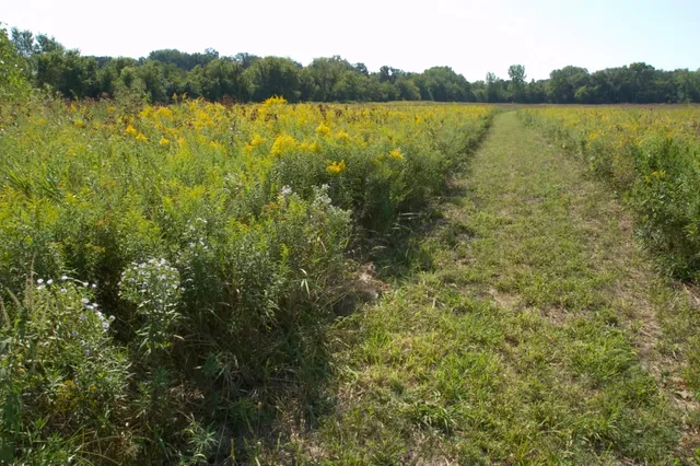 Elizabeth Lake Nature Preserve