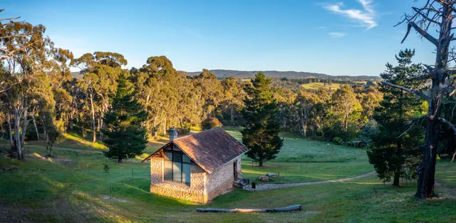 Hans Heysen - The Cedars