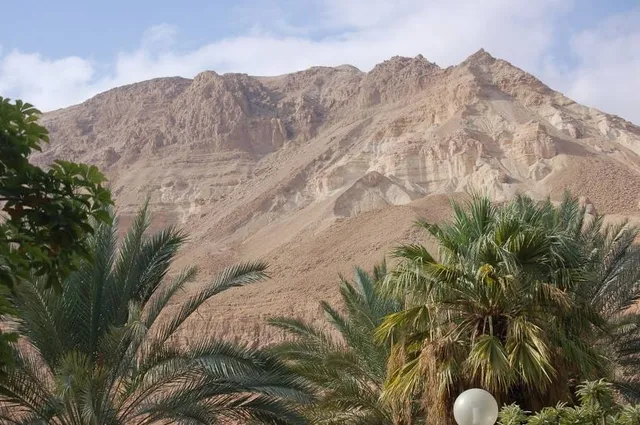 Ein Gedi Botanical Garden