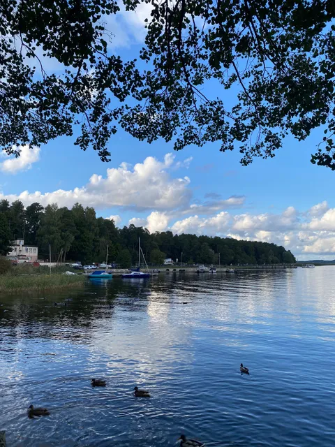 Mežaparka ūdens atrakcijas