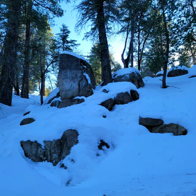 Little Green Valley Hike 2N19