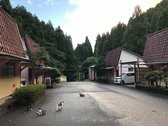 INN 山一 本店
