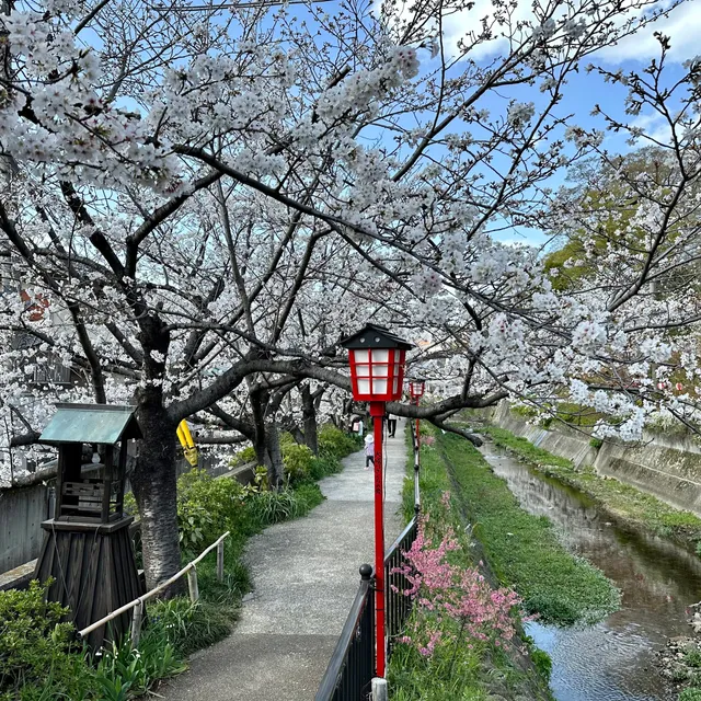 Ohorigawa Hananomichi Park