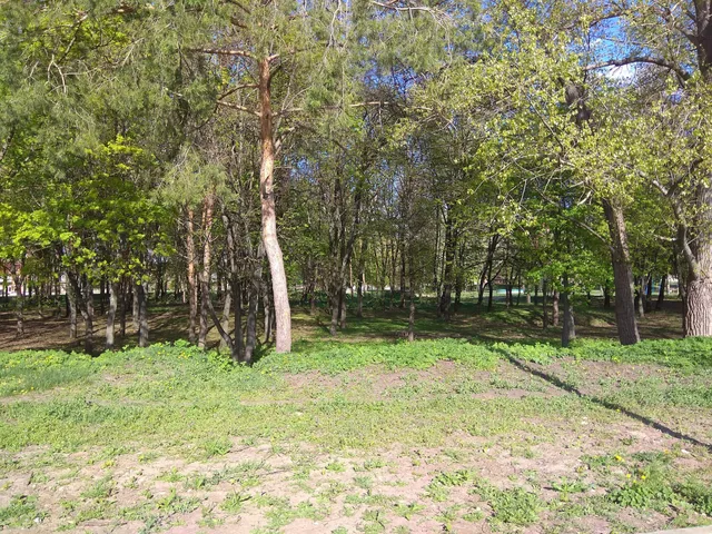 photo-3