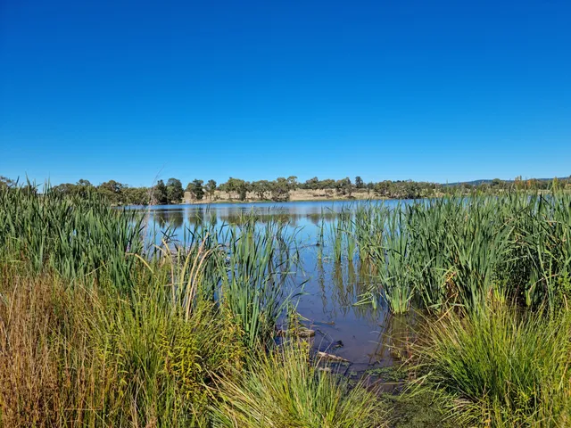 Gosling Creek Reserve