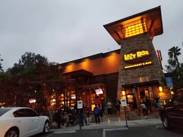 Lazy Dog Restaurant & Bar
