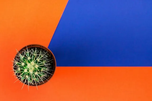 Centro de Memória do Circo