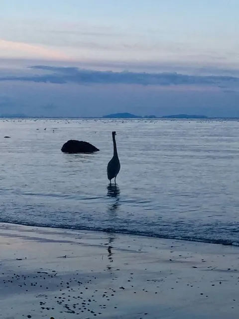 North Beach County Park