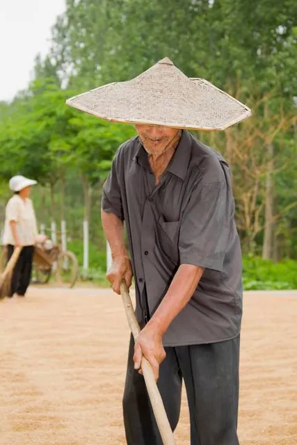Yelagiri - Nature Park