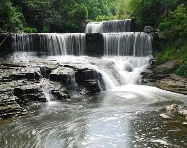 Seneca Mill & Falls