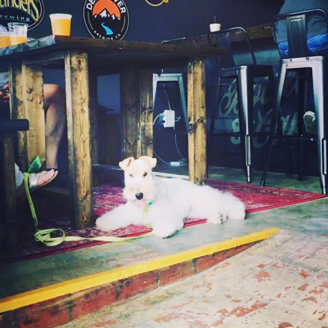 Bottle & Can Salisbury