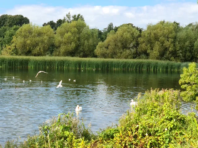 Backwell Lake