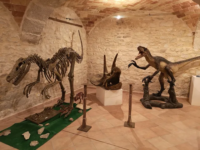 Museo dei Fossili e delle Ambre