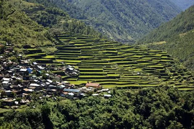 Bayyo Rice Terraces
