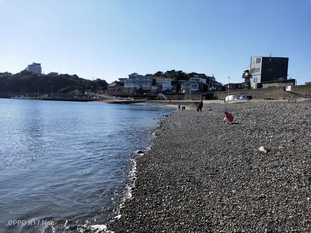 Osatsu seafood market (wholesale trade)