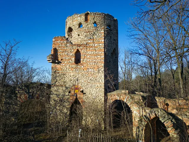 Ruine Hanselburg